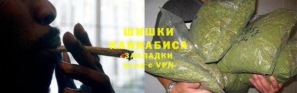 трава Арсеньев