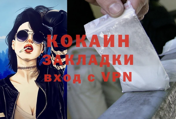 мяу мяу мука Аркадак